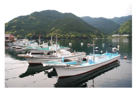 海の幸「九鬼のひものセット」5品　HS-8