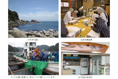 【 定期便 】 九鬼の 干物 詰合せセット 1便 ー 海の幸 「九鬼のひもの詰合せ」 ５品 / ２便 ー 海の幸 「九鬼のひものセット」 ５品 干物 いわし あじ みりん干し 干物 セット 各500g 計1kg 干物 三重 尾鷲 あじの干物 かますの干物 さんまの干物 さば 桜干 ブリの干物 ひものセット 旬のひもの　HS-16　