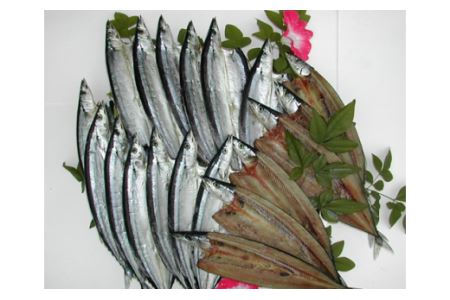 （定期便）（１便） 海の幸「九鬼のひものセット」５品（２便）海の幸「九鬼ひものバラエティー」５品　HS-19