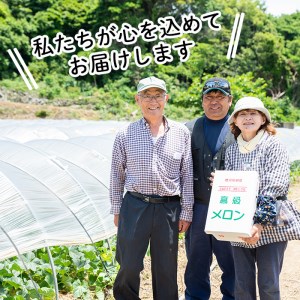 ＜先行予約受付中！2026年6月以降順次発送予定＞鹿児島県産！南国グリーンメロン(LAサイズ×3個) メロン めろん 果物 スイーツ デザート フルーツ【あくね旬の店いきいき館】akn015-16