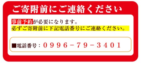 i595 ＜2名様・体験宿泊ペアチケット＞ひかりの郷体験宿泊券(1泊2食付・ツインルーム利用)体験 体験チケット 宿泊 ペアチケット スローライフ 温泉【ひかりの郷】