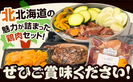 肉 鶏肉 天塩川精肉店セット フライパンde焼鳥 モツタレ 160g×1 モツ塩 160g×1 タンドリーチキン 160g×1 若鶏の新子焼 500g×1 アグリフーディズム 《30日以内に出荷予定(土日祝除く)》北海道 名寄市 詰め合わせ 冷凍【配送不可地域あり】(離島)