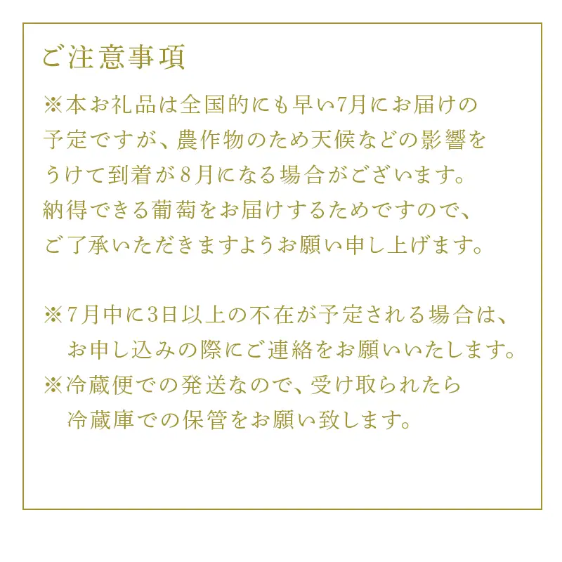 『先行予約』【令和8年7月下旬発送】唐津市産種あり大粒「巨峰」約3kg(5～8房) ぶどう ブドウ 果物 フルーツ ギフト