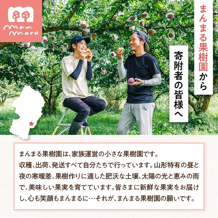 すもも（貴陽）１.５ｋｇ　0055-2607