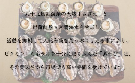 産地直送【 あわび・さざえセット】生食可 2.4kg あわび A179