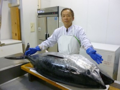 マグロ 【 本マグロ 】 刺身 600g以上 鮪 タレ付き A121p