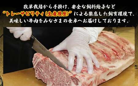 長崎和牛モモスライスすき焼き･しゃぶしゃぶ用(650g)
