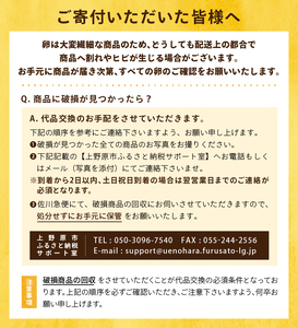 【6ヶ月定期便】 ミシュラン たまご 40個×6ヶ月 計240個 卵 2種類 詰め合わせ 高級卵 濃厚鶏卵 新鮮 卵かけご飯 人気 美味しい