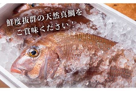 天然 鯛 お茶漬け 6食 [JAI002]