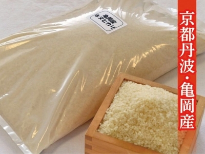 令和5年産 米 10kg 京都丹波産 キヌヒカリ 白米＜JA京都 たわわ朝霧＞ 発送に合わせて精米