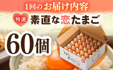 【全12回定期便】【特選卵】素直な恋たまご 60個 [JAP005]