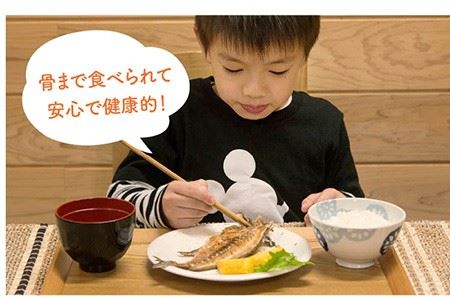 壱岐産旬の干物（2から4匹） 家庭用[JBD015]