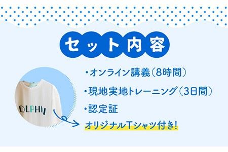 ベーシック・ドルフィントレーナー・プログラム 《壱岐市》【壱岐イルカパーク＆リゾート】[JBF003] 220000 220000円 22万円 体験