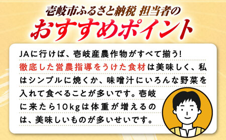 【全3回定期便】旬の野菜セット 7品 [JBO044] 野菜 詰め合わせ
