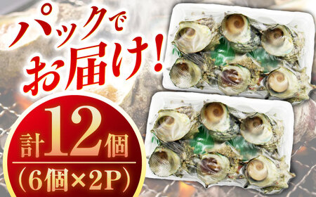 天然 サザエ 秘伝のタレ さざえ つぼ焼き（6個入り×2パック）[JDB001] 13000円
