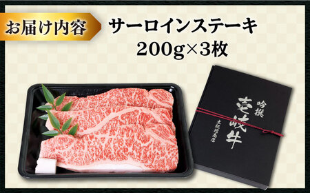 【特選】壱岐牛 サーロインステーキ 200g×3枚 (計600g)  [JDD001]
