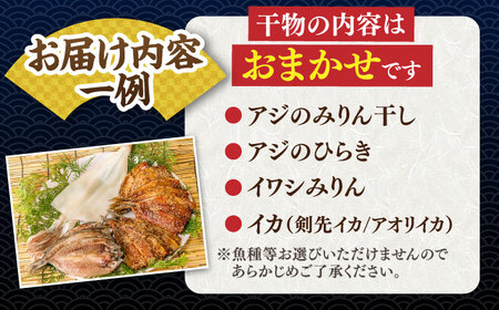  旬の干物 おまかせ詰め合わせ《梅》（アジ・イワシ・イカなど）[JDR001]