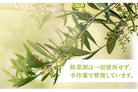 リップクリーム ikicael オリーブリップ 3本セット 《壱岐市》【壱岐オリーブ園】[JDU005] 17000 17000円