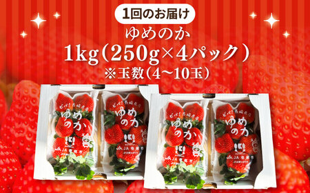 【先行予約】【全3回定期便】ゆめのか 1kg （約250g×4パック）【2027年1月以降順次発送】[JEM002] いちご 苺