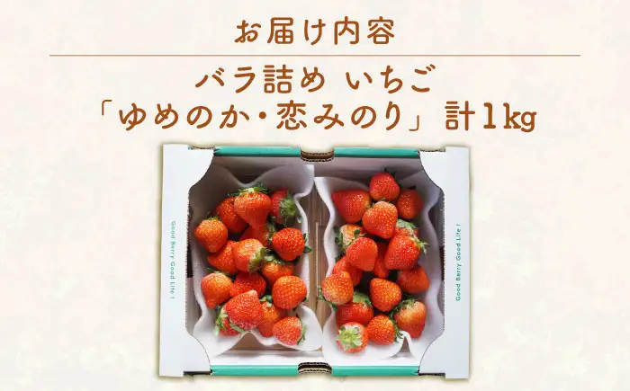 家庭用 いちご 1kg（ゆめのか/恋みのり） [JEO002] イチゴ 苺 | 長崎県