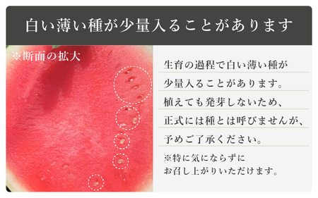 【先行予約】 種なし スイカ 6～10kg × 1玉 大玉サイズ ～シャリシャリ甘い東尋坊黒皮種なしスイカ～ 【2026年7月中旬以降順次発送予定】 【スイカ 西瓜 フルーツ デザート 旬の味覚 果物 国産 産地直送 お祝い お中元 ギフト】 [B-10201]