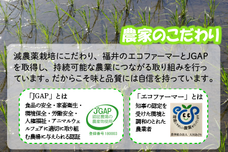 【令和7年産】 おおかわさんちの華越前 10kg 精米 [B-10803]