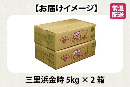 【先行予約】 三里浜金時 10kg (5kg×2箱) キュアリング加工済み 【2026年11月上旬以降順次発送】 [A-1155]