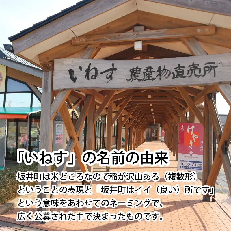 「いねすのしょうゆ」が美味しんやって！ （1L ｘ 5本）【醤油 しょうゆ 熟成 調味料 大豆 常温保存 国産】 [A-1202]