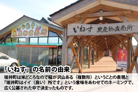 「いねすの味噌」が美味しんやとのっ！ （味噌1kg ｘ 5個）【A-1203】