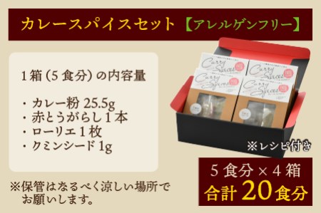 ハーブ講師が作る教室で人気のカレースパイスセット （5食分 × 4箱）【アレルゲンフリー】 【スパイス スパイスカレー スパイスセット カレーパウダー おうちカレー カレー粉 香辛料 セット 手作り キット 薬膳カレー スープカレー ギフト】 [A-13012]