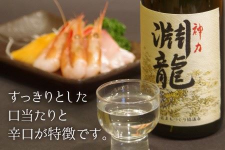 地域振興の追い風に！限定醸造純米酒 「淵龍」 大小2本セット (一升瓶＆四合瓶) 【生原酒 地酒 日本酒 お酒 酒 アルコール 米どころ 冷蔵保存 ギフト 贈り物 贈答 父の日】 [A-1351]