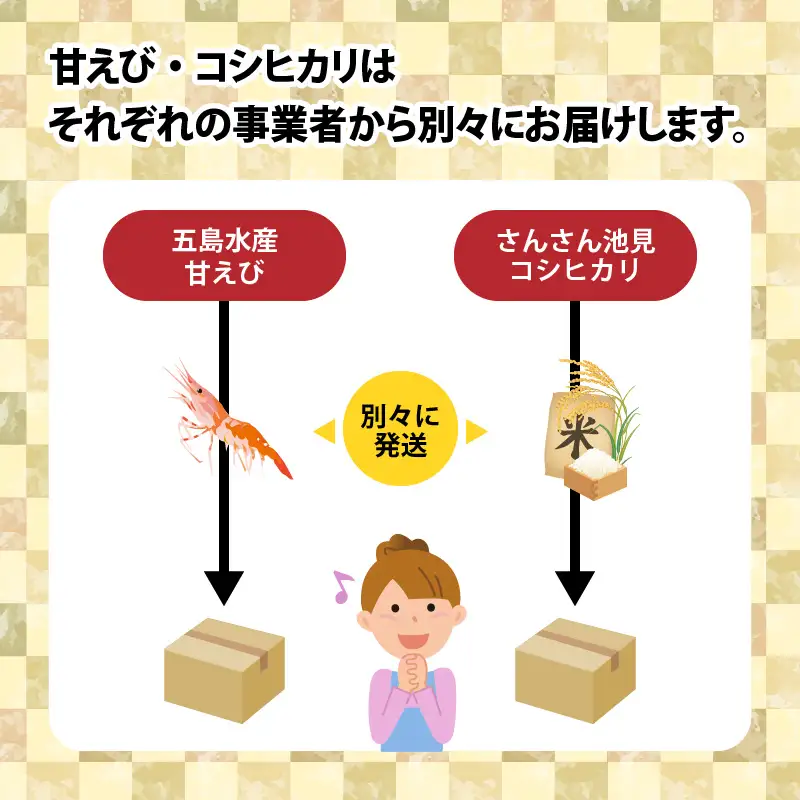 越前三國の極み甘えび丼セット ～全国ランキング常連の甘えびとコシヒカリのコラボ～ [A-2397]