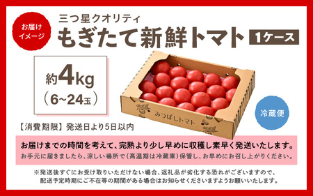 【先行予約】 新鮮トマト 1ケース 約4㎏ (16～24玉入) 【2026年5月上旬以降順次発送予定】 とまと [A-2606]
