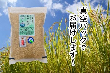【令和7年産】【発芽玄米】福井県産 コシヒカリ特選 真空パック 3kg  ～玄米以上の栄養価と白米に近い柔らかさ～ 【無洗米 米 こしひかり 玄米 ギャバ GABA 特別栽培 食物繊維 栄養 真空パック ごはん ご飯 おいしい ふるさと納税米】 [A-29102]