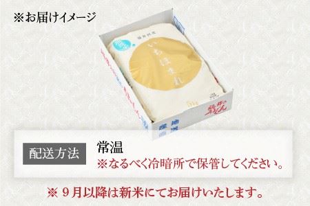 【令和7年産】福井県のブランド米 いちほまれ5kg 無洗米 【 人気 品種 ブランド米 特A 】 [A-6117]