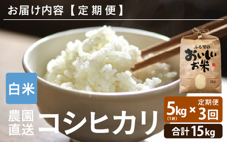 【先行予約】【令和8年産・新米】【農家直送定期便 3ヶ月コース】本原農園のまごころコメたコシヒカリ 5kg × 3回 計15kg（白米）【2026年10月上旬以降順次発送】 [C-8916_01]
