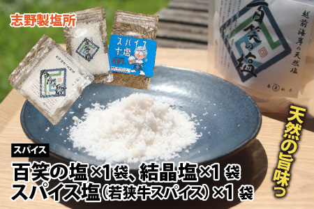 竹田丼セット ～究極の若狭牛塩ローストビーフ丼～ ESSEふるさとグランプリ2023 肉加工品部門 金賞受賞！ [B-1871]