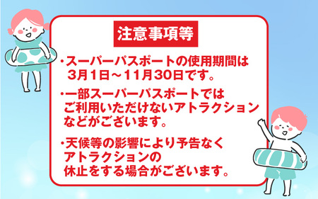 芝政ワールド スーパーパスポート3名様（おとな2名・こども1名） 遊園地 プール チケット レジャー施設 [D-3903]