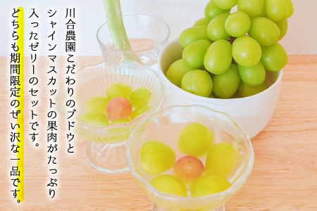 【先行予約】減農薬にこだわった新鮮で安心な川合農園の高級ブドウ 3房 と シャインマスカットゼリー 4個セット【2026年8月中旬以降順次発送予定】【マスカット ブドウ ぶどう 葡萄 果物 くだもの フルーツ 果実 ゼリー 旬 新鮮 セット 詰め合わせ 国産】 [C-7502]
