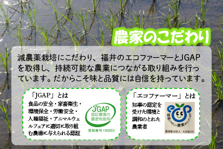 【令和7年産】 【12ヶ月連続お届け定期便】おおかわさんちのコシヒカリ 5kg × 12回 計60kg [L-10801]