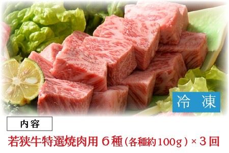 【3ヶ月連続お届け】 若狭牛 特選焼肉盛り合わせ定期便 [J-1808]