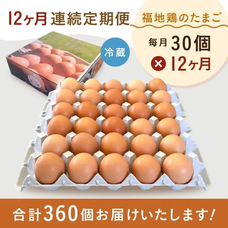 【12ヶ月連続お届け】福井ブランド「福地鶏」の卵 30個 濃厚で甘くておいしい！定期便 ／ 卵 たまご 鶏卵 生卵 有精卵 高級 高級卵 福地鶏 鶏 平飼い 美味しい こだわり 12ヶ月 定期便 卵かけご飯 料理 値下げ あわら市 福井県産 [aw036-j001]