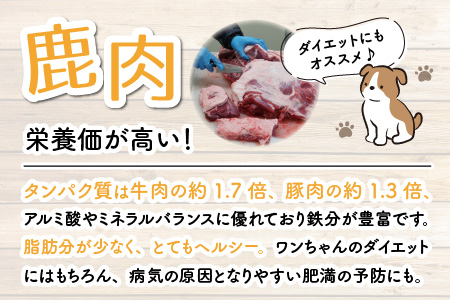 無添加 100％永平寺産ジビエ 愛犬用鹿肉おやつセット 8袋（約300g）[C-036002]