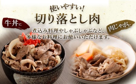 【緊急支援品 無くなり次第終了 訳あり】 博多和牛 ＋ 国内産 黒毛和牛 切り落とし 合計1.2kg(300g×4パック)