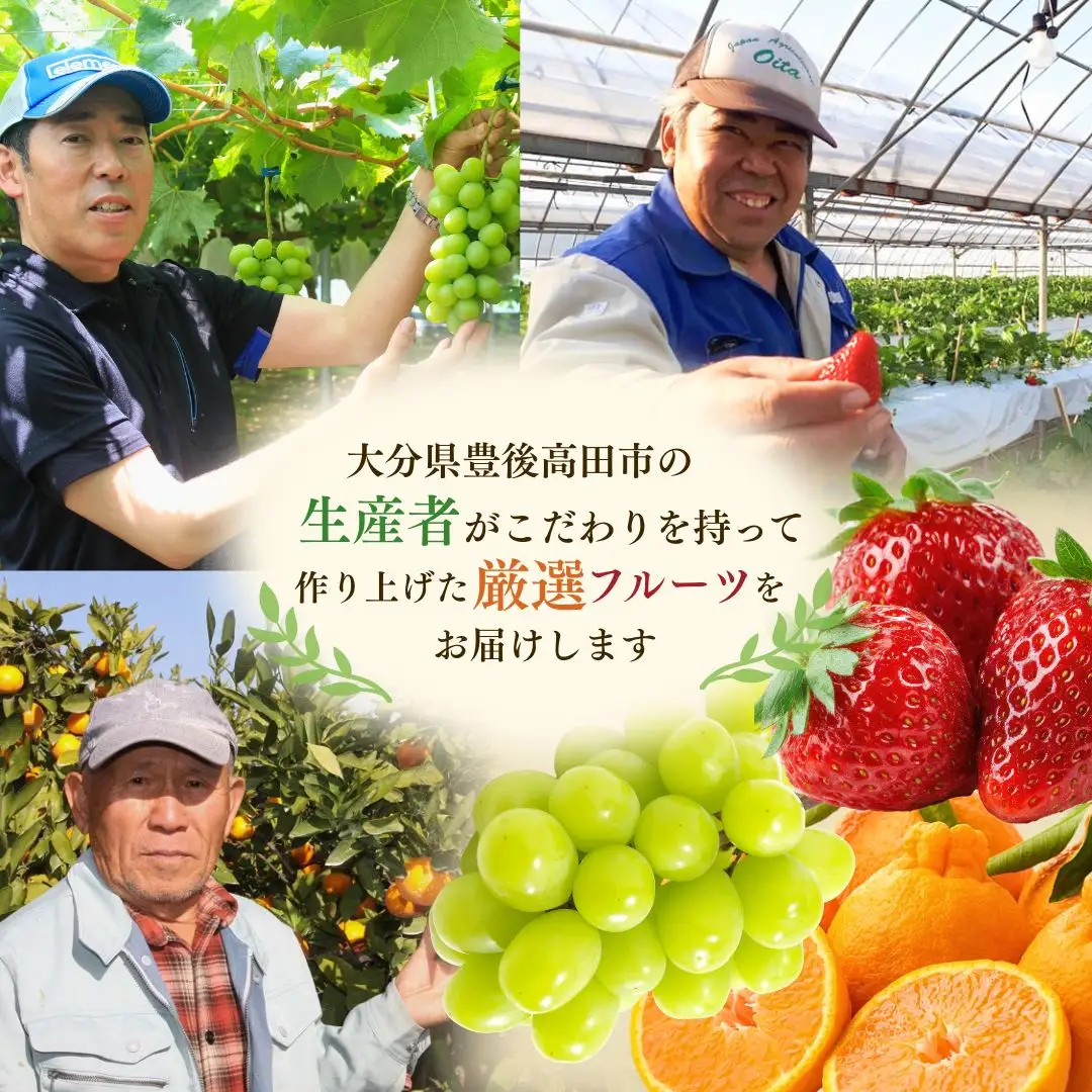 【3回定期便】旬のフルーツ食べ比べ（シャインマスカット・イチゴ・不知火）