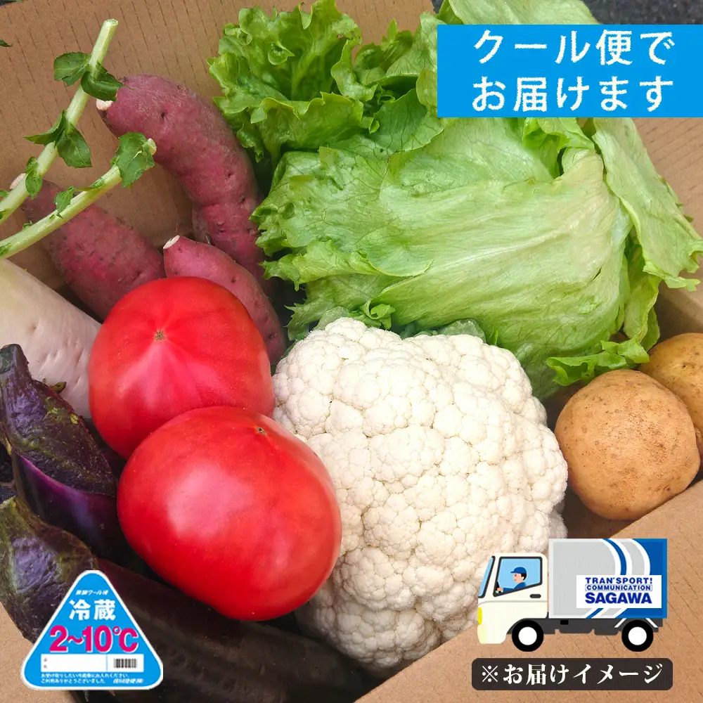 筑前のお野菜4～7種類【3カ月定期便】【B3-072】
