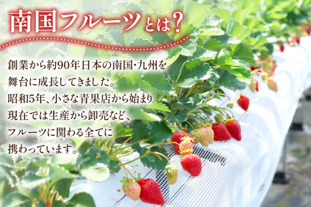 【期間限定発送】いちご あまおう 4パック いちご [21760096]