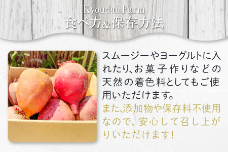 ビーツの種 野菜 スーパーフード　450g. 無農薬 ✨食べるスーパーフード！ビーツ2種食べ比べセット【土付き直送】約4.5