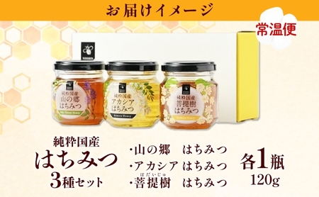 国産はちみつ120g 3本入り 山の郷 アカシア 菩提樹 国産 純粋はちみつ ギフト ハニー honey ハチミツ パン 菓子 トースト ホットケーキ ヨーグルト 調味料 隠し味 常温 常備 お取り寄せ 日新蜂蜜 送料無料 岐阜県 安八町 