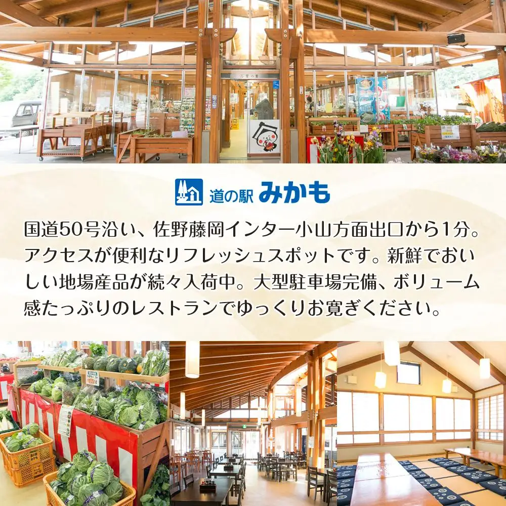ぶどう 巨峰 栃木市藤岡町産 1kg【フルーツ 果物 くだもの 食品 人気 おすすめ 】